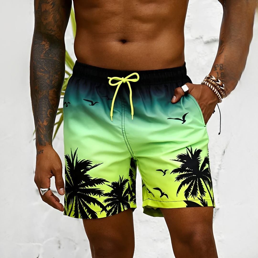 Men's Swim Shorts Quick-Dry Drawstring Mesh Lined Elastic Waist Beach Pool Holiday Everyday Casual Versatile
