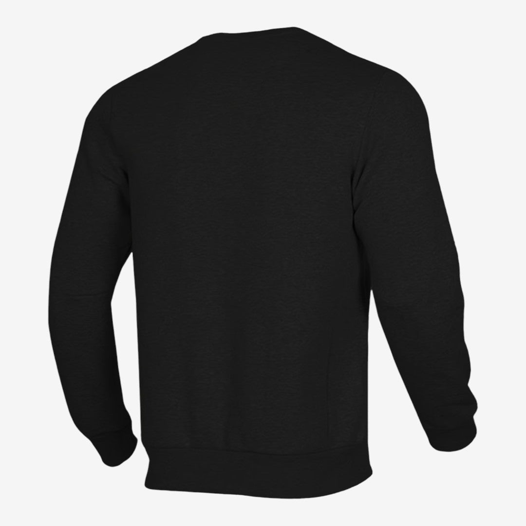 Men's Casual Sweatshirt Long Sleeve Crew Neck Everyday Style Relaxed Fit