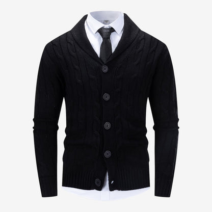 Men's Cable Knit Cardigan Button Closure Long Sleeve Cozy Autumn Winter