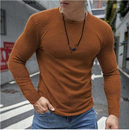 Men's Slim Fit Knit Shirt Long Sleeve Crew Neck Casual Everyday Wear