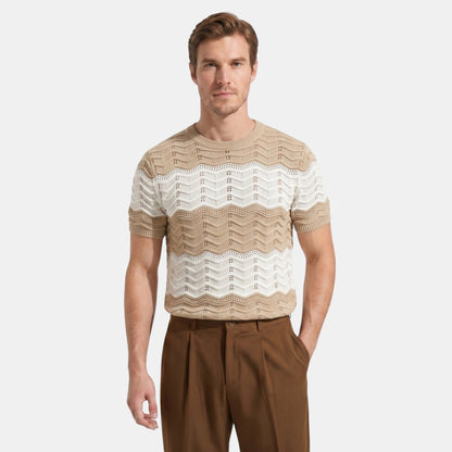 Men's Striped Knit Polo Shirt Short-Sleeve Collared Ribbed Knitted Casual Smart-Casual Everyday Leon