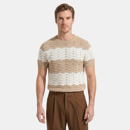 Men's Striped Knit Polo Shirt Short-Sleeve Collared Ribbed Knitted Casual Smart-Casual Everyday Leon