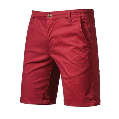 Men's Stretch Shorts Smart-Casual Flat-Front Knee-Length Chino Elastic Waist Casual Everyday Holiday Delaney