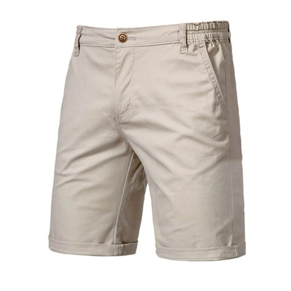 Men's Stretch Shorts Smart-Casual Flat-Front Knee-Length Chino Elastic Waist Casual Everyday Holiday Delaney