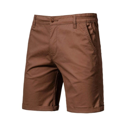 Men's Stretch Shorts Smart-Casual Flat-Front Knee-Length Chino Elastic Waist Casual Everyday Holiday Delaney