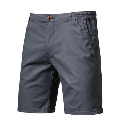 Men's Stretch Shorts Smart-Casual Flat-Front Knee-Length Chino Elastic Waist Casual Everyday Holiday Delaney