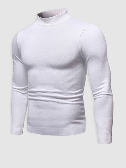 Men's Slim Fit Roll Neck Sweater Casual Layering Stylish Autumn Winter