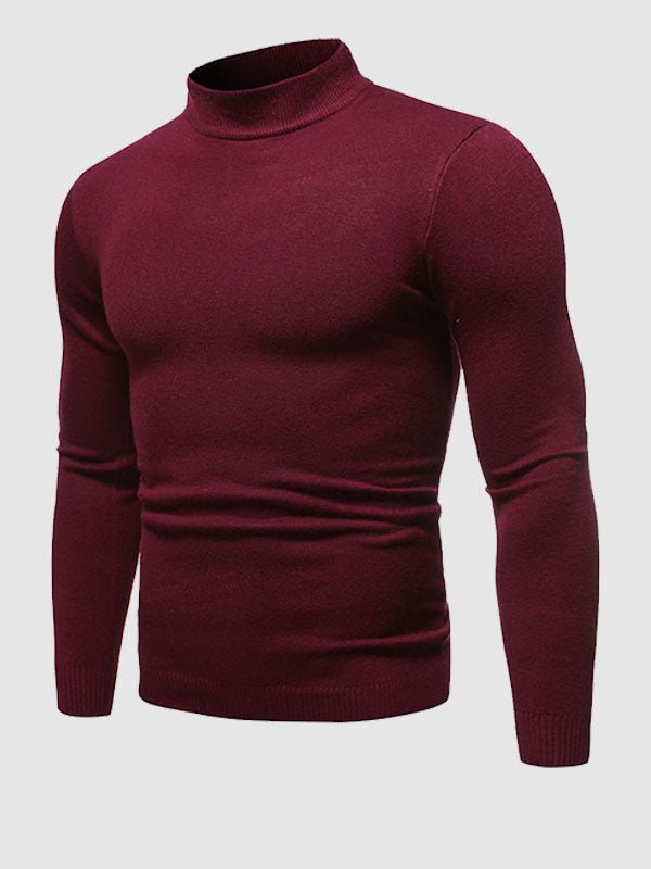 Men's Slim Fit Roll Neck Sweater Casual Layering Stylish Autumn Winter